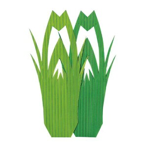 ĝ o i1000j ^2/vp/Vi /Ώۏi