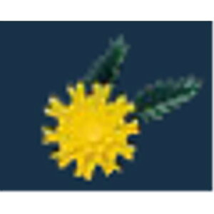 ĝ veBt[ e DY/vp/Vi /Ώۏi