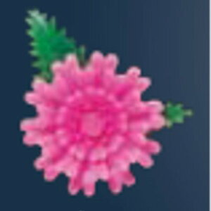 ĝ veBt[ ~je sN/vp/Vi /Ώۏi