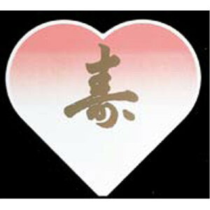 SW n[g^v[g/Ɩp/Vi/e|X