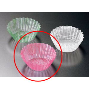 t[hP[X _ (500) M33-644 6F/Ɩp/Vi/e|X