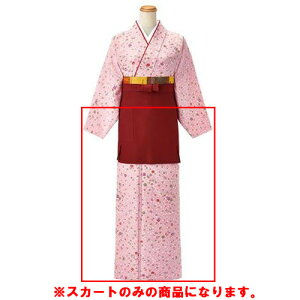 ߒ XJ[g lɉԕsN OD248 /Ɩp/Vi/Ώۏi