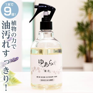 yX[p[SALE蔼zzړI 䂠uDv 350ml}`N[i[  }` A C Hp h hR[eBO gC ߗ  S RCh 