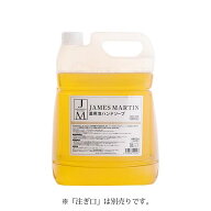 ジェームズマーティン 薬用 泡ハンドソープ 5kg james martin ハンドソープ 泡 泡ハンド 大容量 家庭用 …