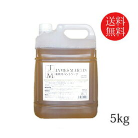 ジェームズマーティン 薬用 泡ハンドソープ 5kg james martin ハンドソープ 泡 泡ハンド 大容量 家庭用 業務用 薬用ハンドソープ 詰め替え プロ仕様 除菌 抗菌 低刺激 保湿 うるおい 安全 日本製 敏感肌 無香料 飲食店