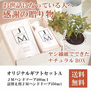 (ハンドソープ泡詰替え)【ジェームズマーティンハンドソープギフトセットA】ジェームズマーティン薬用泡ハンドソープ400ml+ハンドソープ詰替え350ml
