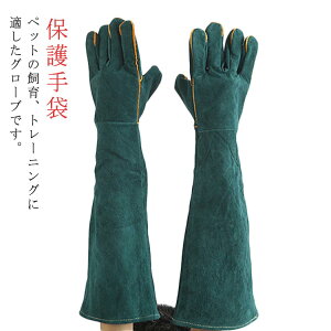 ybgO[u ݂  60cm  vO[u  | h΍ ی ybgg[i[ Lv ybgVbv ঒ O[