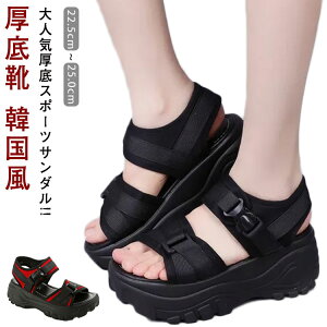 AEghA fB[X ₷ X|[cT_  sy T_  T_  q[5cm Cxg X|T C C r T_ C