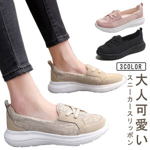 Xj[J[ fB[X Xb| [Jbg RȂ V[Y JWA  r ₷ K ₷ s 傫TCY  l  ɂ  ʋ ʊw 