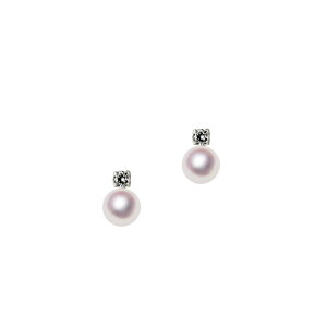 K14WG 6.5mm AR^ fUCsAX Fa ^ WG[EANZT[ETensei Pearl V^( p[ {^ tH[} JWA a  ܎O lj AEj l