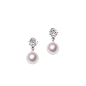 y[zSV 7.5mm AR^ fUCCO Fa ^ WG[EANZT[ETensei Pearl V^( p[ {^ tH[} JWA a  ܎O lj A