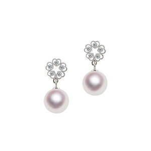 SV 8.5mm AR^ fUCCO Fa ^ WG[EANZT[ETensei Pearl V^( p[ {^ tH[} JWA a  ܎O lj AEj 