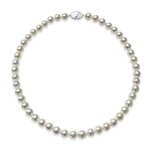 8.5`9.0mm AR^ lbNX F eFB FA LYFC Fa ^ WG[EANZT[ Tensei Pearl V^( p[ {^ tH[} a  ܎O lj 