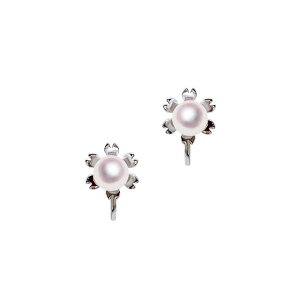 SV 6.5mm AR^ fUCCO Fa ^ WG[EANZT[ Tensei Pearl V^( p[ {^ tH[} JWA a  ܎O lj AEj 