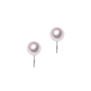 y[zK14WG 8.5mm AR^ VvCO Fa ^ WG[EANZT[ETensei Pearl V^( p[ {^ tH[} JWA a  ܎O lj 