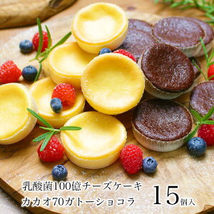 訳あり チーズケーキ 送料無料の通販 価格比較 価格 Com
