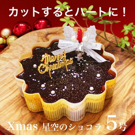 クリスマスケーキ プレゼント 本州 送料無料星空のショコラ 5号ギフト スイーツクリスマス ハロウィン お歳暮 大人 子供 女性 男性 女友達 母 父ホール かわいい ハート しっとり チョコレートケーキ配送日指定