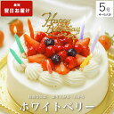 【高評価★4.6】＼特別に盛り上がる／ ホワイトベリー 5号 誕生日ケーキ バースデーケーキ birthday cake ホールケー…
