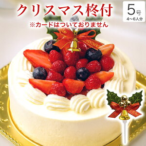 y |Cg2{ 12/5܂Łz NX}XP[L 2025  NX}X Mtg v[g   N[ V[gP[L l q CX^f 킢 т TvC