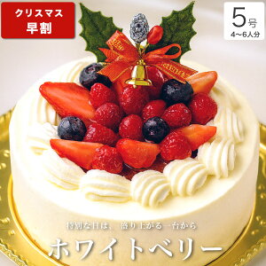 y |Cg2{ 12/5܂Łz NX}XP[L 2025  NX}X Mtg v[g   N[ V[gP[L l q CX^f 킢 т TvC