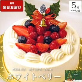 クリスマスケーキ 2025 送料無料 クリスマス ギフト プレゼント お取り寄せ 苺 生クリーム ショートケーキ 大人 子供 インスタ映え かわいい びっくり サプライズ 解凍12時間【ホワイトベリー 5号 4-6人分】