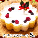 【早割 ポイント8倍 11/15まで】 クリスマスケーキ 2025 送料無料 クリスマス ギフト プレゼント お取り寄せ チーズケーキ 大人 子供 インスタ映え かわいい びっくり サプライズ 解凍8時間 / 幸せのダブル チーズケーキ 5号 4-6人前