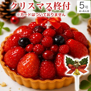 y |Cg2{ 12/5܂Łz NX}XP[L 2025  NX}X Mtg v[g  ^g  t[cՂ l q CX^f 킢 т Tv