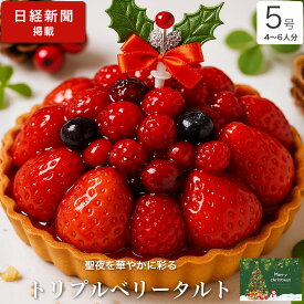 クリスマスケーキ 2025 送料無料 クリスマス ギフト プレゼント お取り寄せ タルト いちご フルーツたっぷり 大人 子供 インスタ映え かわいい びっくり サプライズ 冷凍 解凍8時間【トリプルベリータルト 5号 4-6人分】