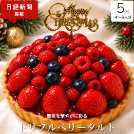 【早割ポイント12倍10/15まで】クリスマスケーキ 2026 送料無料 クリスマス ギフト プレゼント お取り寄せ タルト いちご フルーツたっぷり ホールケーキ 大人 子供 インスタ映え かわいい びっくり サプライズ 冷凍 解凍8時間【トリプルベリータルト 5号 4-6人分】