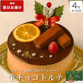 クリスマスケーキ 2025 送料無料 クリスマス ギフト プレゼント お取り寄せ 2人 チョコ ケーキ 大人 子供 インスタ映え かわいい びっくり サプライズ 冷凍 解凍8時間【生 チョコ トルテ 4号 2-3人分】
