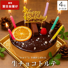 誕生日ケーキ バースデーケーキ 送料無料 大人 子供 インスタ映え かわいい びっくり サプライズ 誕生日 プレゼント ギフト チョコ ケーキ 冷凍 解凍8時間【生 チョコ トルテ 4号 2-3人分】