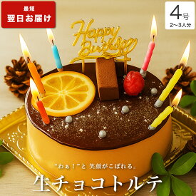 誕生日ケーキ バースデーケーキ 送料無料 大人 子供 インスタ映え かわいい びっくり サプライズ 誕生日 プレゼント ギフト チョコ ケーキ 冷凍 解凍8時間【生 チョコ トルテ 4号 2-3人分】