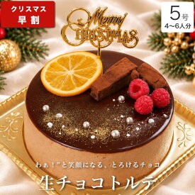 【早割ポイント12倍10/15まで】クリスマスケーキ 2026 送料無料 クリスマス ギフト プレゼント お取り寄せ チョコ ケーキ 大人 子供 ホールケーキ インスタ映え かわいい びっくり サプライズ 冷凍 解凍8時間【生チョコ トルテ 5号 4-6人分】