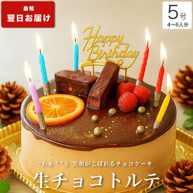 誕生日ケーキ バースデーケーキ 送料無料 大人 子供 インスタ映え かわいい びっくり サプライズ 誕生日 プレゼント ギフト チョコ ケーキ 冷凍 解凍8時間【生 チョコ トルテ 5号 4-6人分】