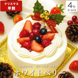 y |Cg2{ 12/5܂Łz NX}XP[L 2025  NX}X Mtg v[g  2l  N[ V[gP[L l q CX^f 킢 т Tv