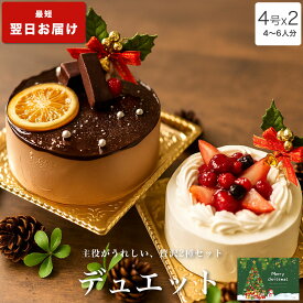 クリスマスケーキ 2025 送料無料 クリスマス ギフト プレゼント お取り寄せ チョコ 苺 チョコ 大人 子供 インスタ映え かわいい びっくり サプライズ ショートケーキ 冷凍 解凍12時間【デュエット 4号x2台セット 4-6人分】