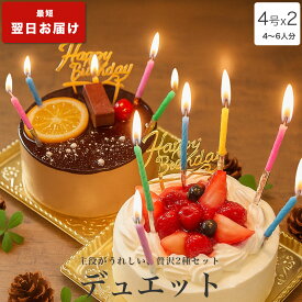 誕生日ケーキ バースデーケーキ 高級 送料無料 大人 子供 インスタ映え かわいい びっくり サプライズ 誕生日 プレゼント ギフト ショートケーキ いちご チョコ 冷凍 解凍12時間【デュエット 4号 x2台セット 4-8人分】