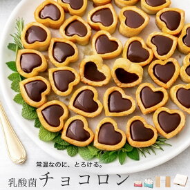 早割ポイント3倍 1/25まで！【総合1位】＼レンジでとろり／ 乳酸菌チョコロン バレンタイン チョコ 2026 個包装 義理チョコ 友チョコ お菓子 おしゃれ 大容量 大量 ばらまき お配り チョコタルト スイーツ 誕生日 プチ ギフト プレゼント 会社 職場 学校 子供 健康 ヘルシー