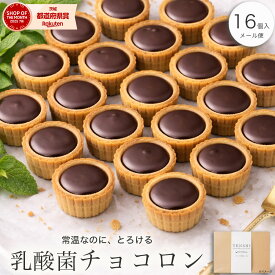 P2倍 3/11 1:59まで【高評価★4.6超】＼レンジでとろり／ 乳酸菌チョコロン 16個入 ホワイトデー お返し チョコ お菓子 クッキー スイーツ プチ ギフト 送料無料 個包装 おしゃれ ばらまき チョコタルト 大量 誕生日 引越し 退職 お礼 プレゼント 会社 職場 学校 メール便