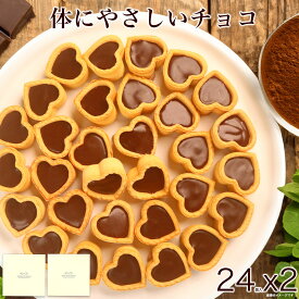 お歳暮 御歳暮 スイーツ クリスマス 冬ギフト お菓子 個包装 スイーツ ギフト 誕生日プレゼント お菓子 ケーキ 洋菓子 デザート プレゼント 送料無料 フルーツ 健康 ヘルシー おしゃれ 高級 出産 内祝い 母 女性 女友達 / 乳酸菌 チョコロン 24個入x2箱