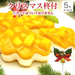 y |Cg2{ 12/5܂Łz NX}XP[L 2025  NX}X Mtg v[g  }S[ t[c Ղ A `[YP[L l q CX^f 킢 