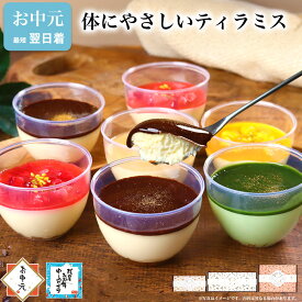 お中元 御中元 夏 ギフト スイーツ 誕生日 プレゼント ティラミス ギフト 誕生日 プレゼント お菓子 健康 ヘルシー ケーキ 洋菓子 デザート プレゼント 送料無料 出産 内祝い 詰め合わせ おしゃれ 高級 チーズケーキ お礼 / ティラミス プラス