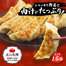 餃子16個入り×4パック【合計64個】約10人前【点心札幌公式】送料無料！ 生餃子 お取り寄せ 国産食材 国産野菜 道産肉 安心安全 瞬間冷凍 本格 お店の味 自社工場 手作り 秘伝の味 まとめ買い プロの中華料理人直伝の味！