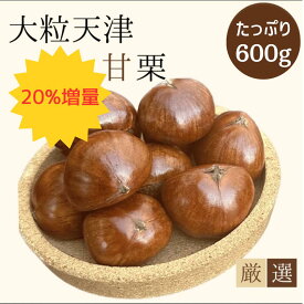 ＼決算セール天津甘栗20％増量！／ 大粒天津甘栗 500g→600g【当日焼き上げた栗を配送！】 この道50年の職人が焼く、やさしい甘みたっぷりの甘栗　甘さ十分＆食べごたえのある逸品　あまぐり スイーツ 栗 和菓子人気 焼き栗 保存料無添加 お取り寄せ マロン 生活応援