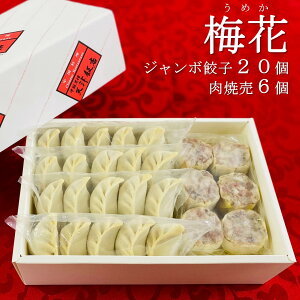 y~(߂)zW{Lq20{Ĕ6lߍ킹@؂ȕւ̑蕨ɂ߁@̑傫10cmIW{Lq20{ނՂIĔ6@L