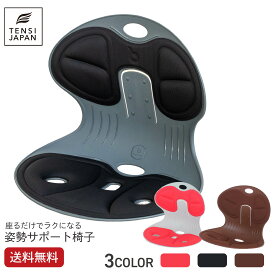 【送料無料】 姿勢 サポートチェア 天使の椅子 プレミアム 猫背 背骨 骨盤の歪み 腰痛 首痛 スマホ首 姿勢矯正 長時間座る方に オフィス 自宅 勉強 テレワーク ブラック / レッド / ブラウン Premium TENSI JAPAN ☆レビュー特典あり