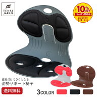 【送料無料】 姿勢 サポートチェア 天使の椅子 プレミアム 猫背 背骨 骨盤の歪み 腰痛 首痛 スマホ首 姿…