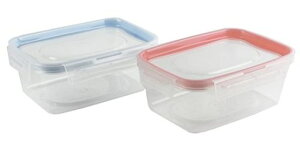 パール金属洗いやすい保存容器長方形L2個組電子レンジ対応NEWキープロック日本製クリアLサイズ2個組HB-1430