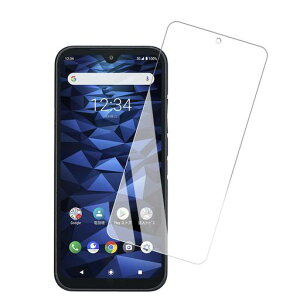 �y1���Z�b�g�zFORDIGNOBX2/A101KC�p�̃K���X�t�B�����S�ʕی십���K���X�t���ی�t�B����FORDIGNOBX2�p�̑Ή��K���X�t�B�����y�����z��/�d�x9H/�\��t���ȒP/�����Ȃ�/�C�A�[���z