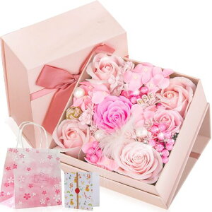 o\[vt[nӕ`Mtg{bNXzCgf[aLO搶̓̓̓[o^Cf[i]ȂǍœKƂẴv[g